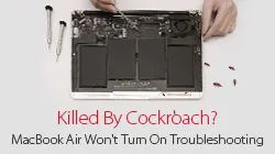 MacBook Air Can Not Turn On Troubleshooting-Killed By Cockroach?