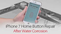 Comment réparer le bouton principal de l'iPhone 7 qui ne fonctionne plus après des dégâts d'eau