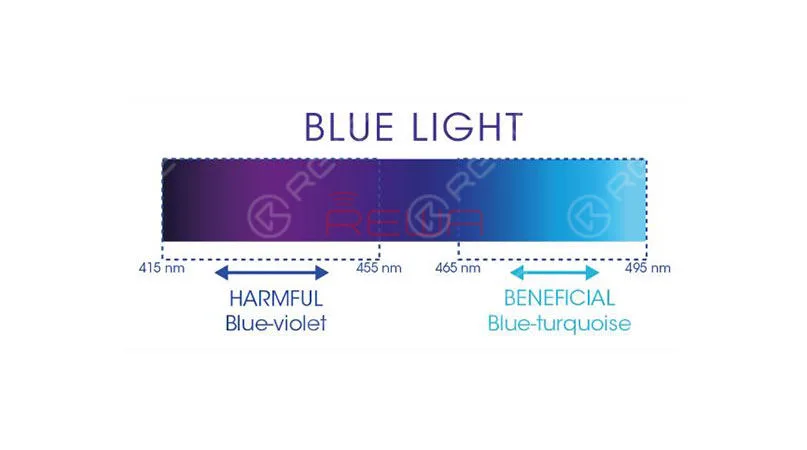 sehr anfällig für die Gefahren von blauem Licht.