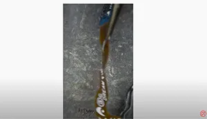 Repair Broken Fingerprint Flex Cable with Jumper Wires