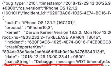 iphone-Neustart-Protokollanalyse für iphone-Reparaturhinweise PanicString