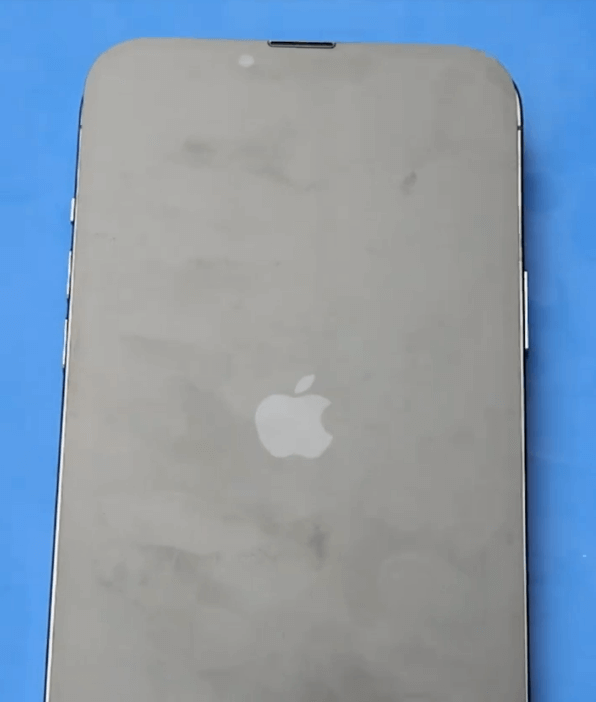 Reparatur des iPhone 13 Pro Max Displays nach Waschmaschinenschaden iPhone 13 Pro Max Reparatur