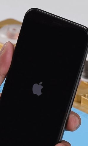 Boucle de démarrage de l'iPhone X à l'allumage