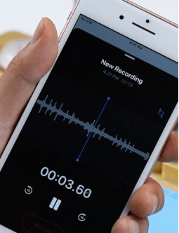 iPhone 7 Plus Ringtone Not Working with Record Function Abnormal