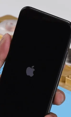 Ciclo di avvio dell'iPhone X all'accensione