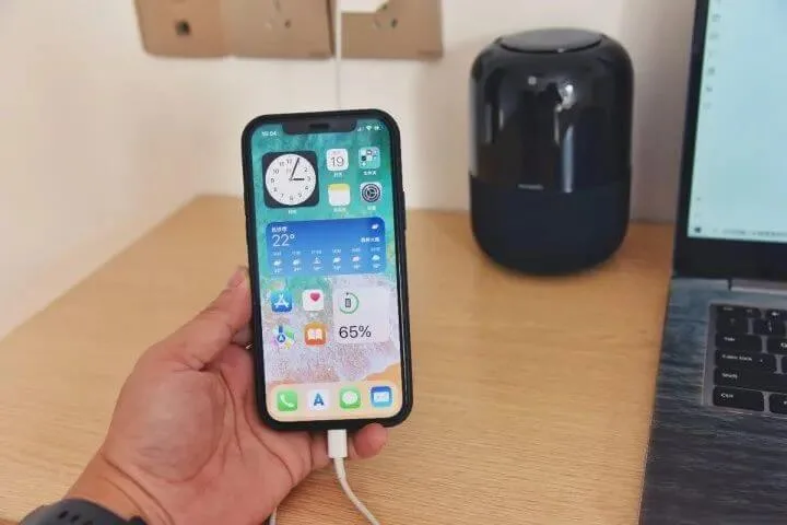 iPhone No Charging Issue