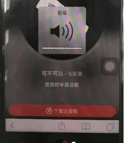 iPhone 8 No sound and vibrator