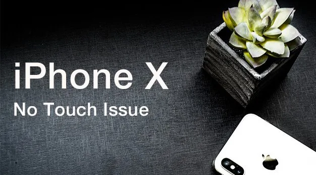 Problema di iPhone X No Touch